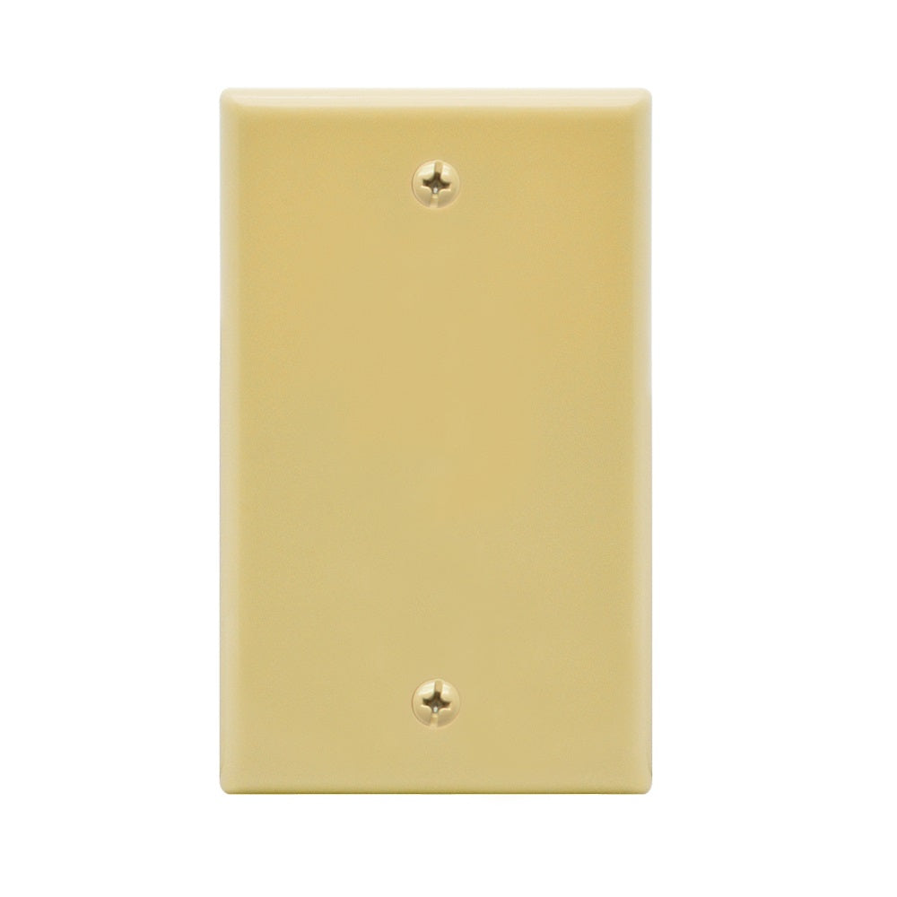 Blank Wall Plate  Smooth Face
