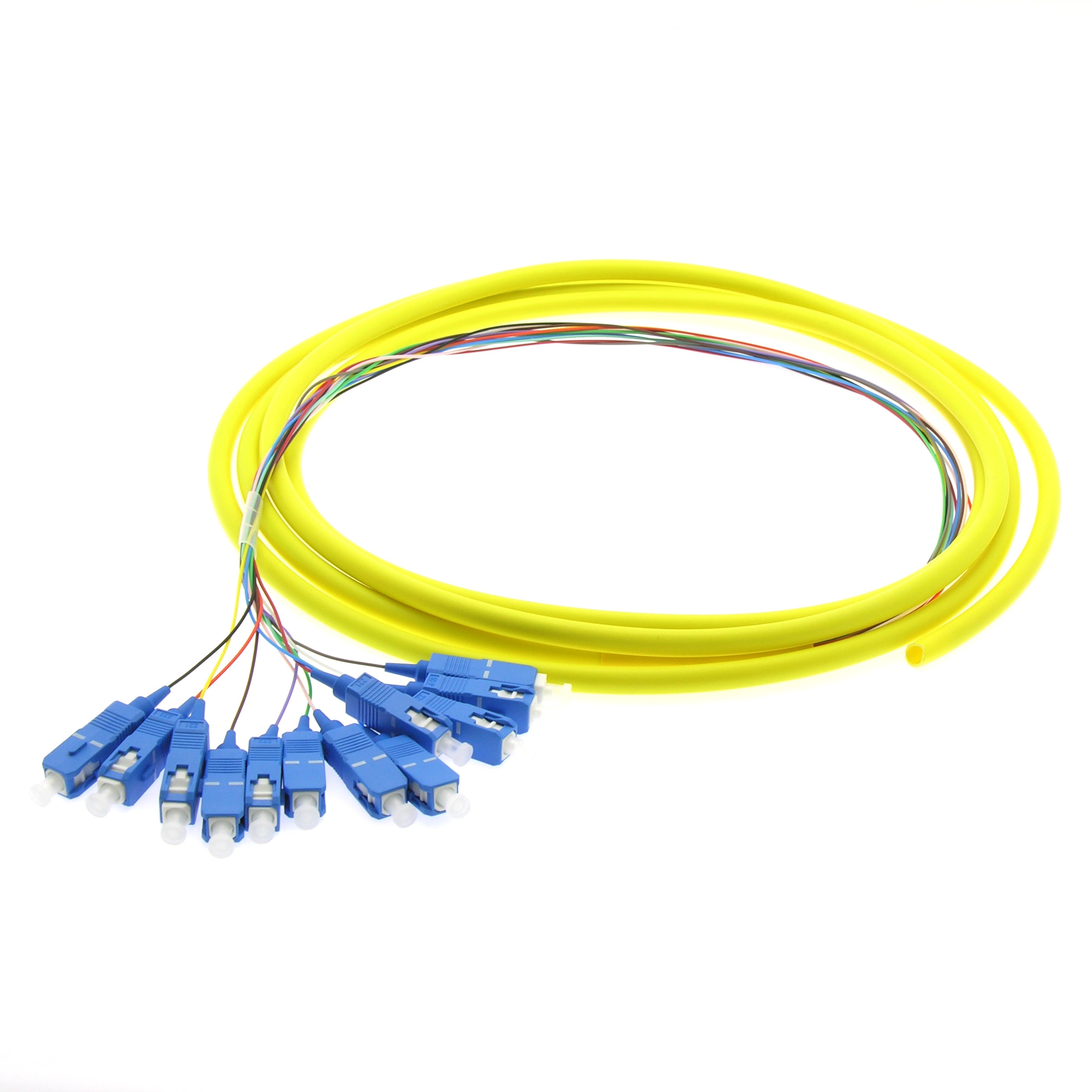 12-Fiber SC/UPC Singlemode Pigtail